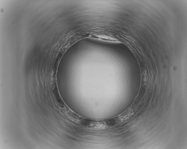 X0000059840559200511181516