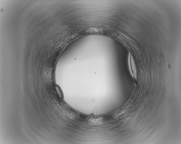 X0000059840560200511181516