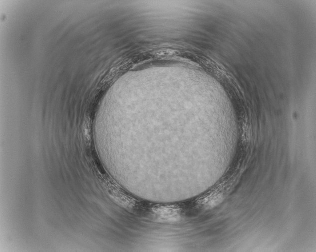 X0000059840561200511181516