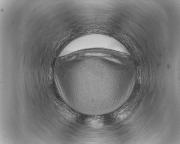 X0000059840563200511181516