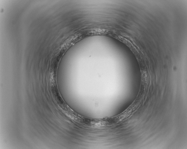 X0000059840564200511181516