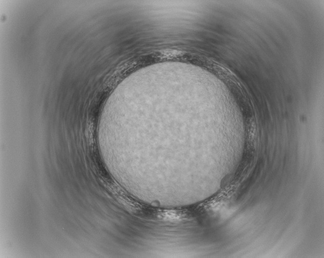 X0000059840565200511181516