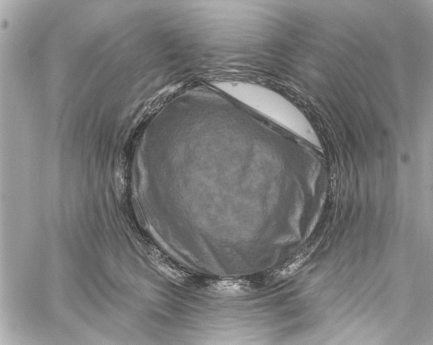 X0000059840566200511181516