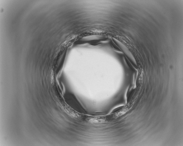 X0000059840568200511181516