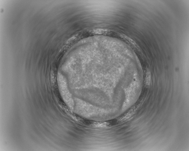 X0000059840569200511181516