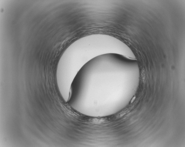 X0000059840570200511181516