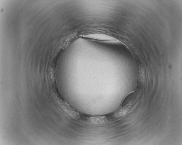 X0000059840571200511181516