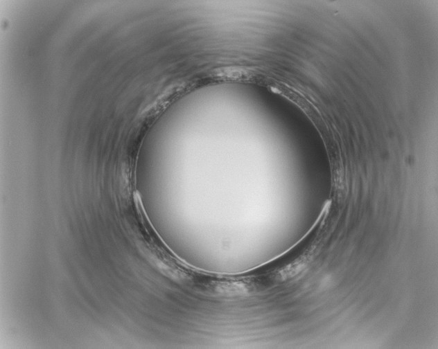 X0000059840572200511181516