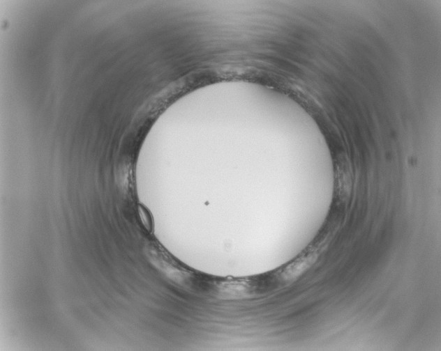 X0000059840574200511181516