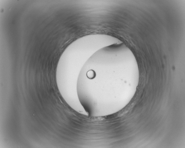 X0000059840576200511181516