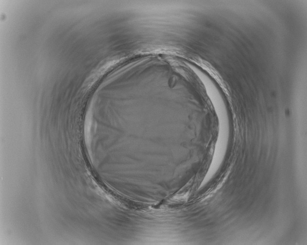 X0000059840577200511181515