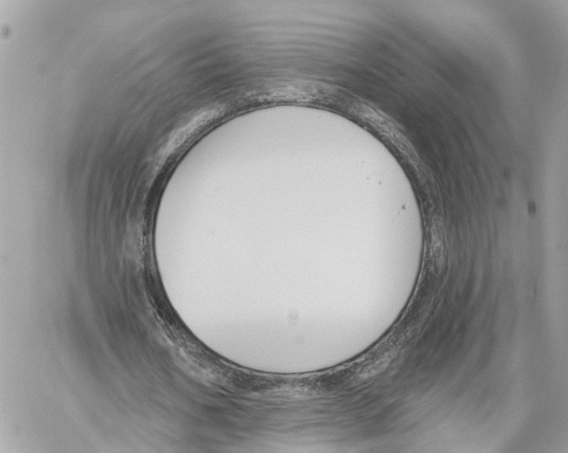 X0000059840578200511181515