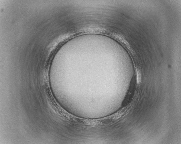 X0000059840579200511181515