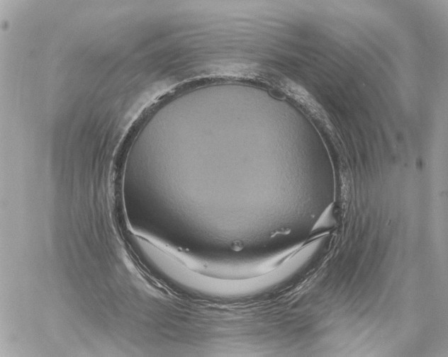 X0000059840580200511181515