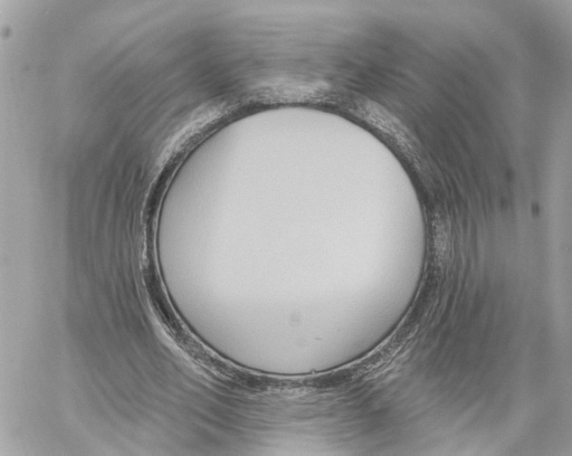 X0000059840582200511181515