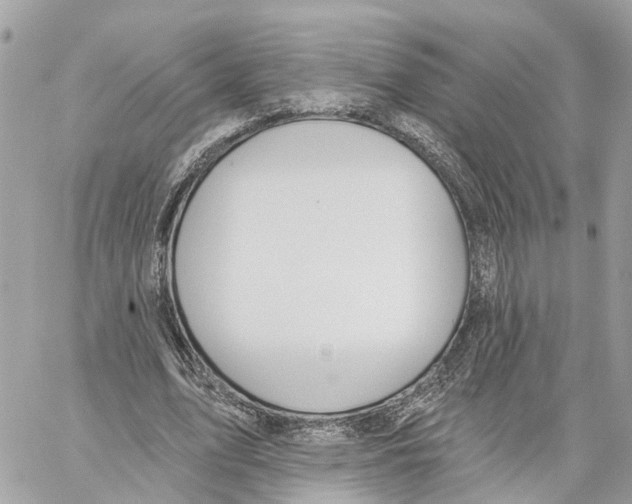 X0000059840583200511181515