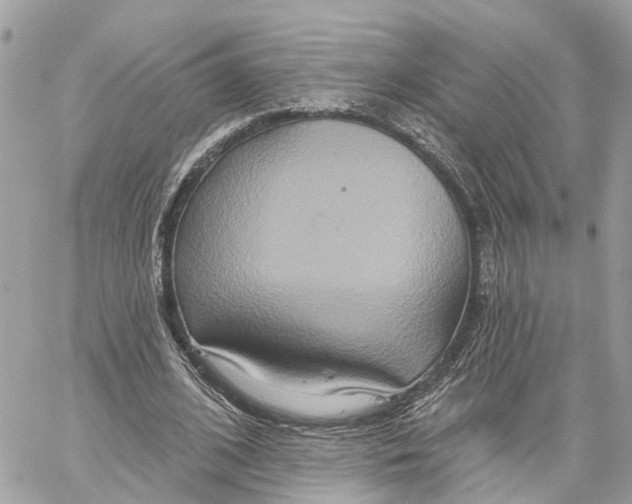 X0000059840584200511181515