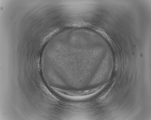 X0000059840585200511181515