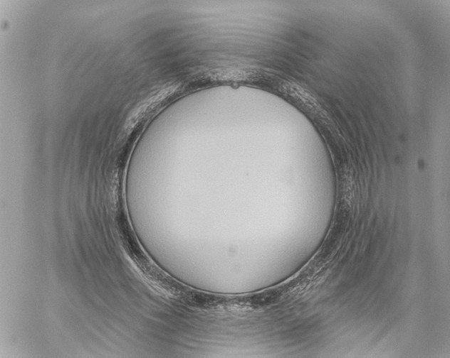 X0000059840586200511181515