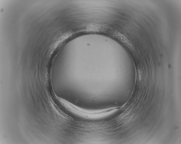 X0000059840588200511181515