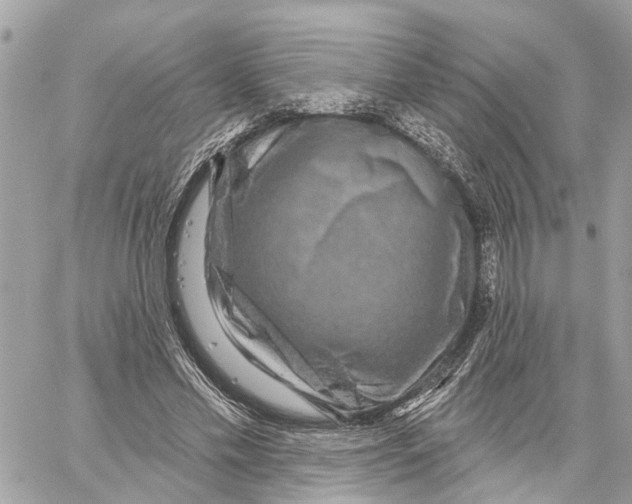 X0000059840589200511181515