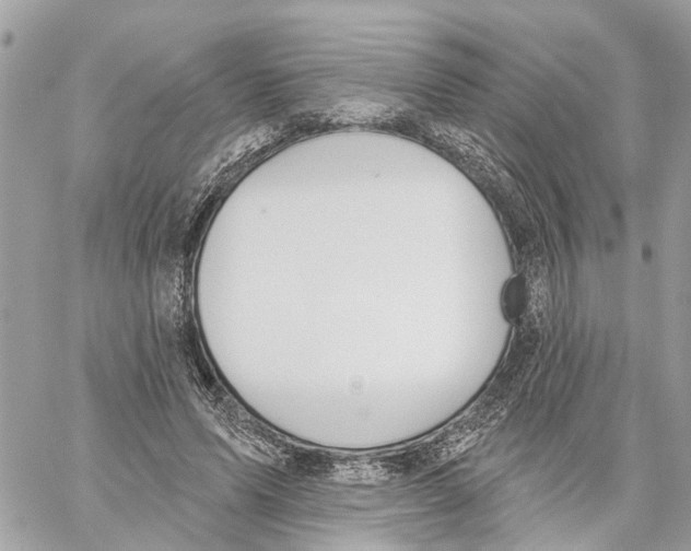 X0000059840591200511181515