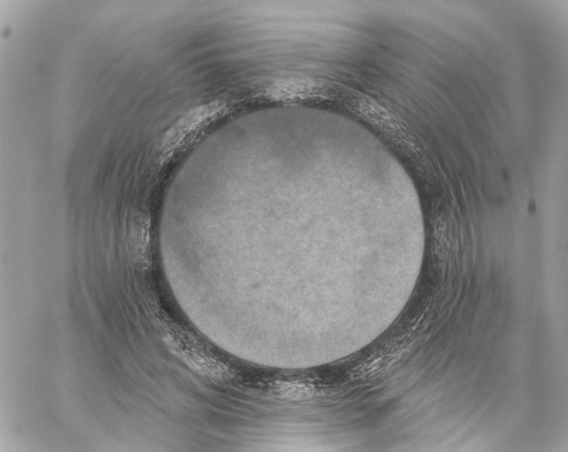 X0000059840592200511181515