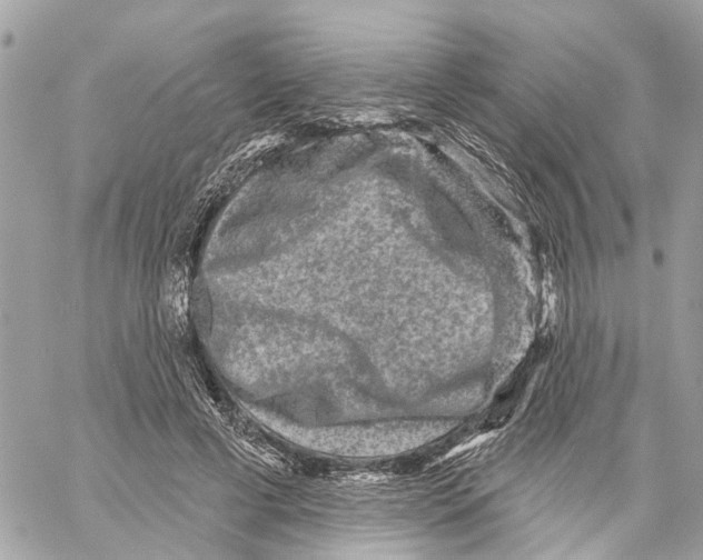 X0000059840593200511181515