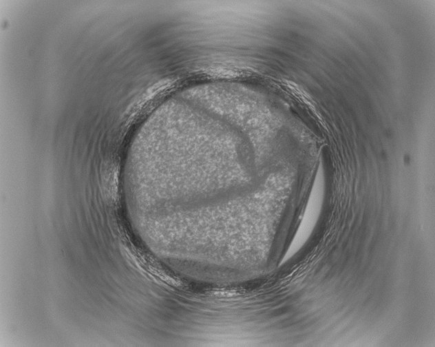 X0000059840596200511181515