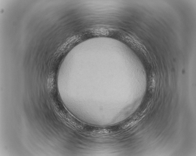 X0000059840600200511181515