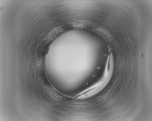 X0000059840601200511181515