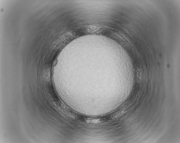 X0000059840602200511181515