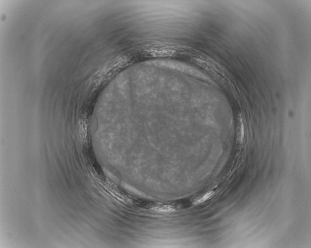 X0000059840604200511181515