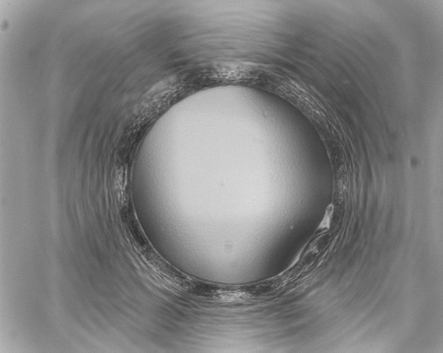 X0000059840605200511181515