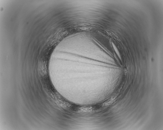 X0000059840606200511181515