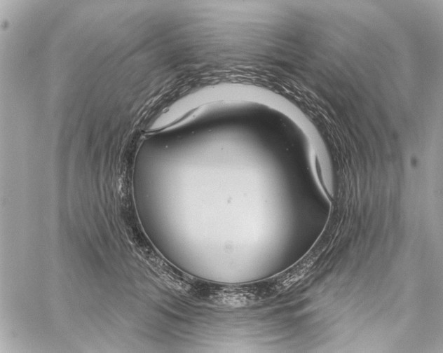 X0000059840608200511181515