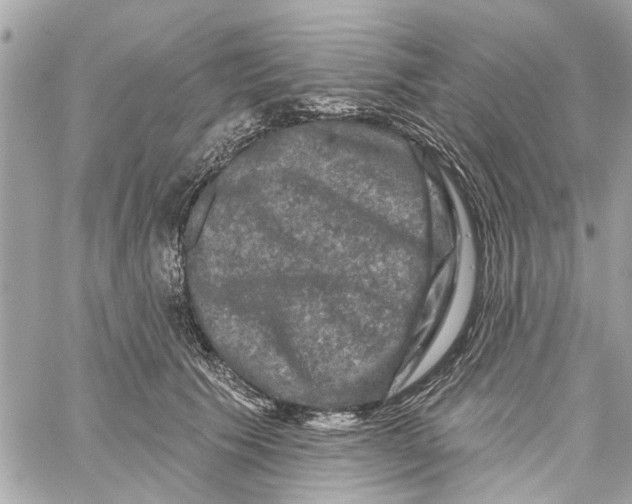 X0000059840609200511181515