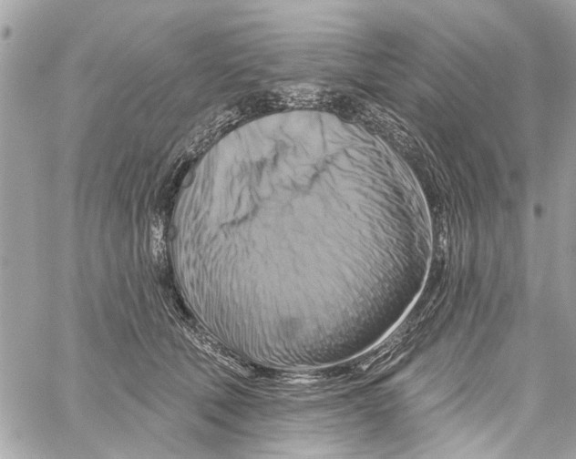 X0000059840610200511181515