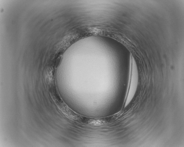 X0000059840611200511181515