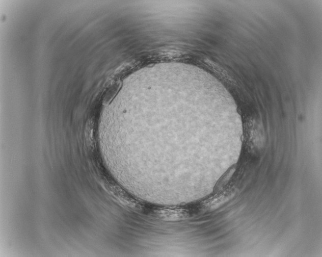 X0000059840615200511181515