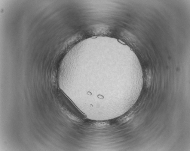 X0000059840619200511181514