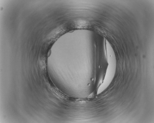 X0000059840620200511181514