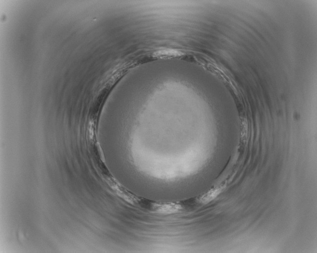 X0000059840621200511181514