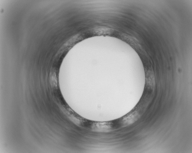 X0000059840622200511181514