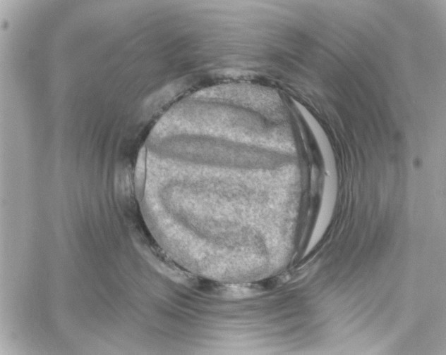 X0000059840623200511181514