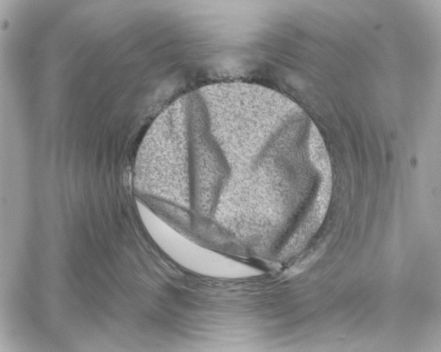 X0000059840624200511181514