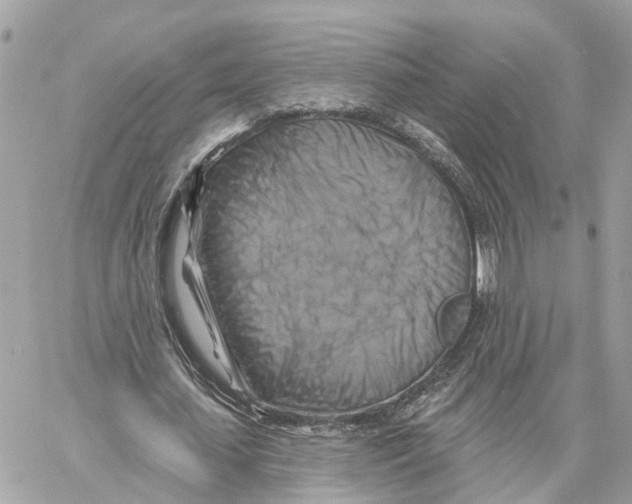 X0000059840627200511181514