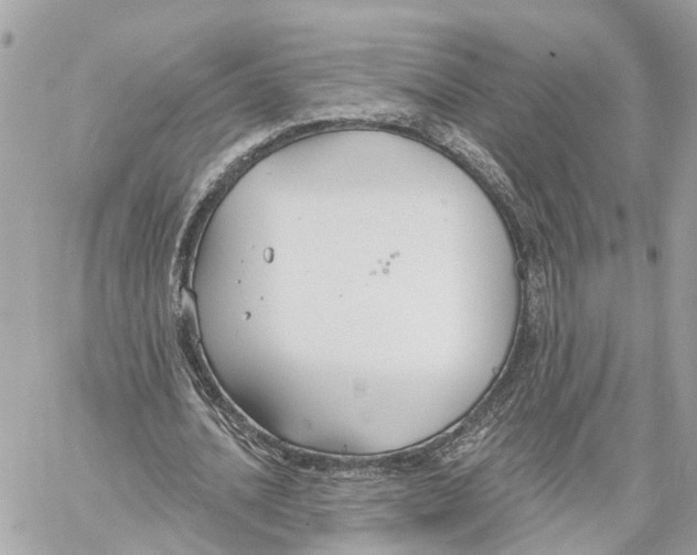 X0000059840628200511181514