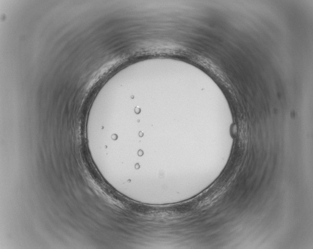 X0000059840629200511181514