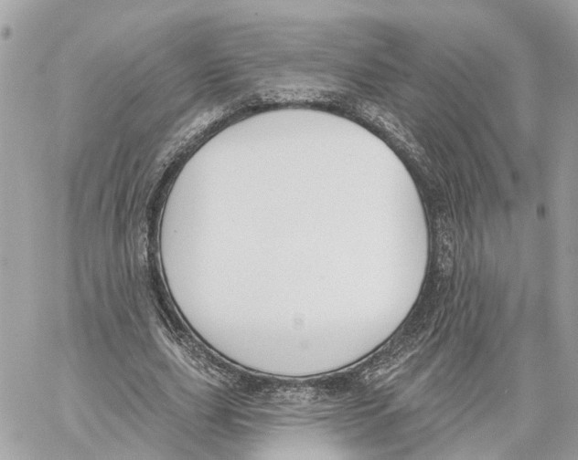 X0000059840631200511181514